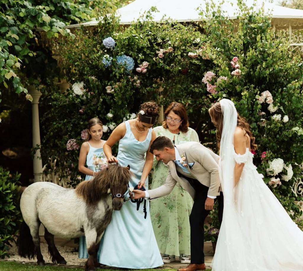 Bride, groom and bridesmaids welcoming a pony into their garden wedding ceremony