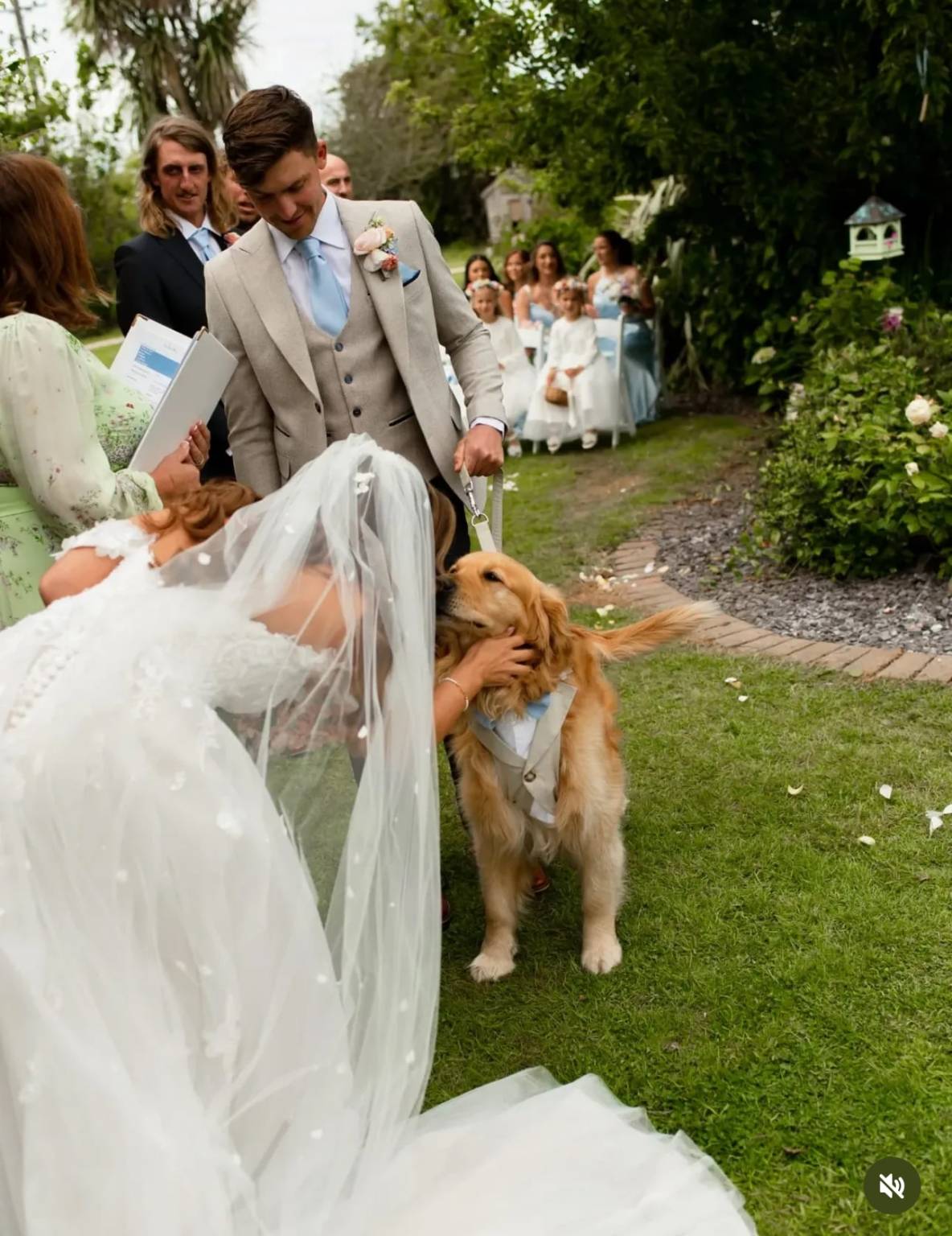 Bride greeting a dog during the ceremony
